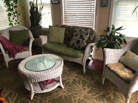 Indoor/outdoor area rug