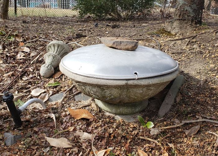 Outside Bird Bath