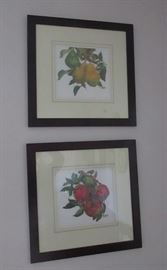 fruit prints