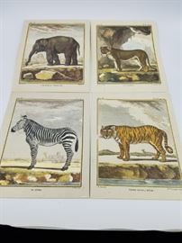 African animal prints