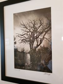 Limited Edition Print