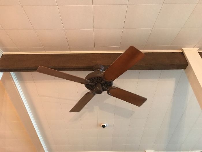 Hunter Douglas ceiling fan
