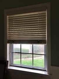 1 of 6 standard windowswith blinds