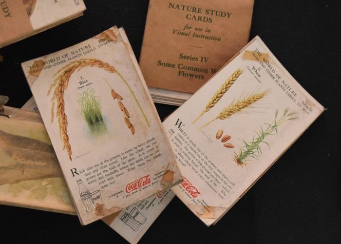 Vintage Nature Study Cards (Compliments of Coca Cola)