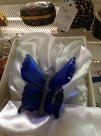 Cobalt blue butterfly