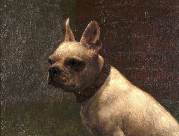 French Bulldog William Barr