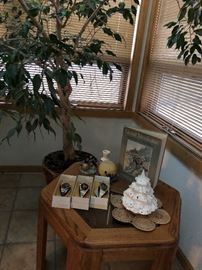 This ficus tree is in search of a new home! Maybe along with this cute vintage Christmas one