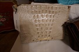 Neutral Brahmin Clutch Purse