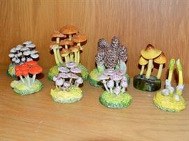 Maria Maravigna mushrooms