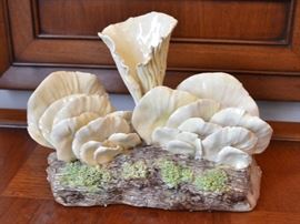 Maria Maravigna mushrooms