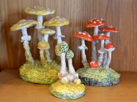 Maria Maravigna mushrooms