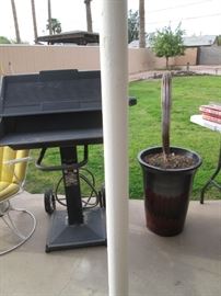 Gas Grill & Potted Cactus