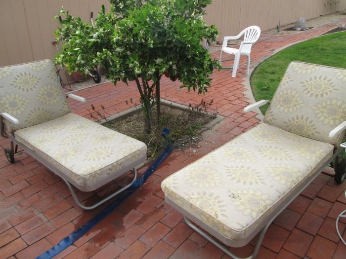 2-Chaise Lounges