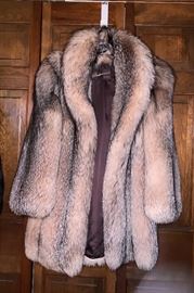 In excellent condition: Fox Jacket