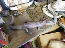 Stuffed Alligator