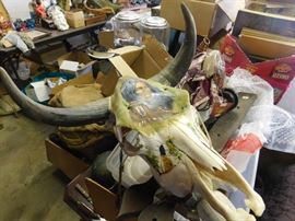 Indian Painted Steer Head