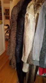 Selection of Furs
