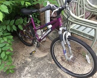 Schwinn Bicycle