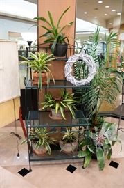 Bakers Rack and live plants!