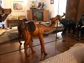 Camel -- don't ride camels, my vegan daughter tells me