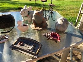 is that a hedgehog? fight me for it