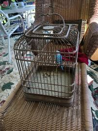 birdcage complete with petrified bird