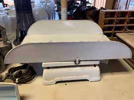 Continental Baby Scale