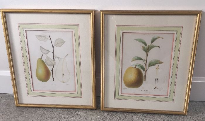 Pair of antique hand-colored chromolithographs of pears from "Jardin Fruitier du Museum" by Joseph Decaisne (1862), framed size 16" x 19" 