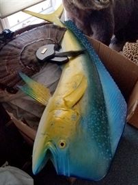 Mahi Mahi 