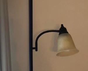 Floor Lamp w Dual Lights