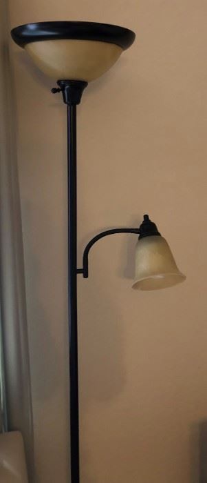Floor Lamp w Dual Lights