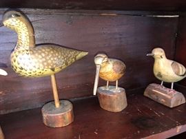 Signed Decoy and Bird collection