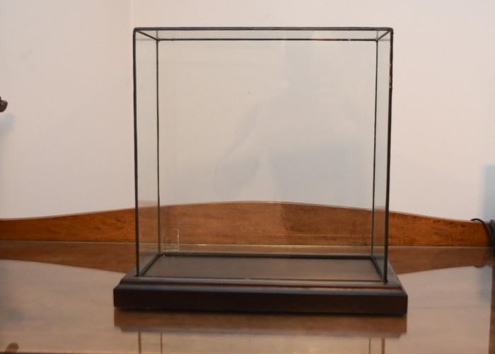 Rectangular Display Case (Approx. 13.5" L x 12.25" H x 6.75" Deep including wood base)