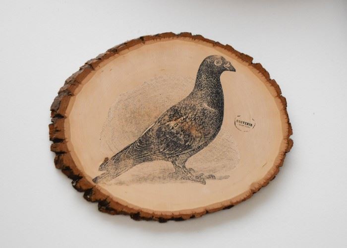 Pigeon Artwork on Wood Slab(Approx. 11.5" L x 9" H)