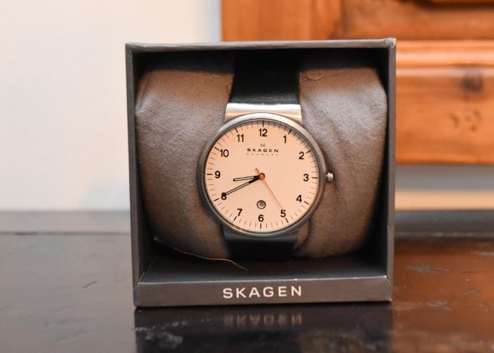 Men's Skagen Watch