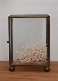 Brass & Glass Display Case with Coral Specimen (Case approx. 5" H x 3.75" L x 2.25" Deep)