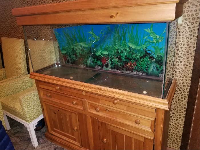 Fish tank