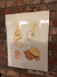 Joan Purcell, limited prints "Shells"