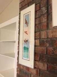 Joan Purcell AP, birds diving in water