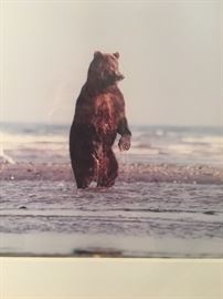 Real photo from second beach Washington 