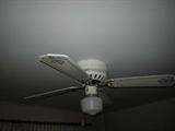 ONE OF MANY CEILING FANS FOR SALE