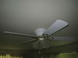 ONE OF MANY CEILING FANS