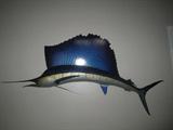 Amazing mounted sword fish from the Mexican pacific ocean, an absolutely stunning piece!  4'W x 9'L  THE BIG GUY!!!