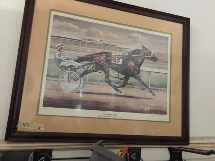 Horse racing picture