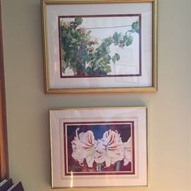 Framed Botanical artwork