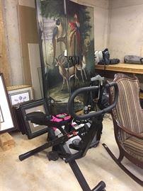 Exercise bike, painted screen, antique rocker and more original art.  