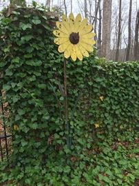 Giant sunflower for your garden.  Enjoy year-round blooms!