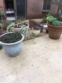 Garden pots - Extra large, large, medium & small.  Most with plants already in them.  You'll need a friend to help you load these.