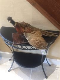 Taxidermy pheasant.  