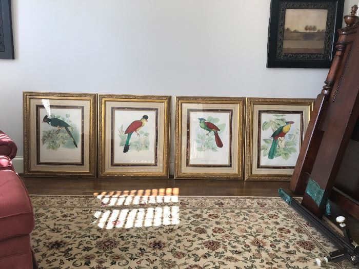 Large magnificently framed bird prints 